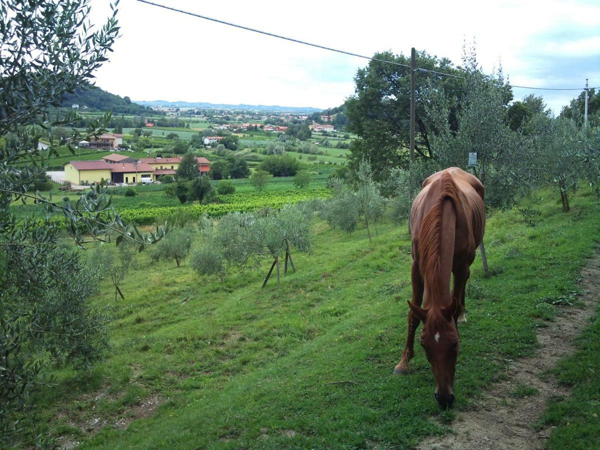 casa Grinovero Cividale del Friuli Esterno foto
